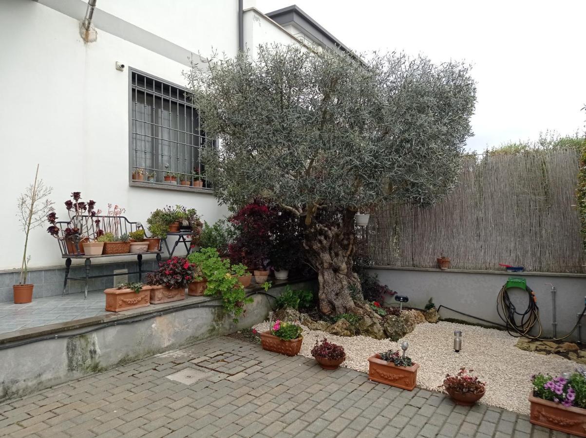 Villa Sogno Castel Fusano Exteriér fotografie